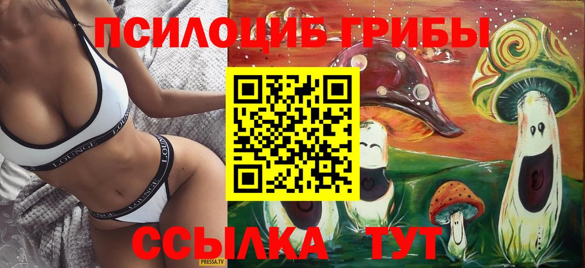 Галлюциногенные грибы GOLDEN TEACHER  Галлюциногенные грибы MAGIC MUSHROOMS  Вход с VPN  Полевской 