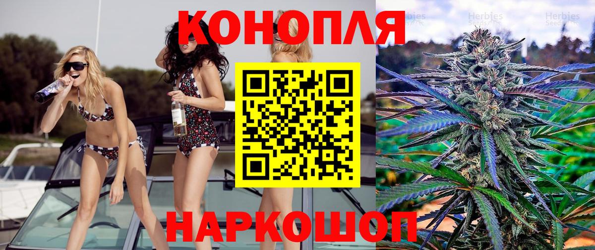 Бошки Шишки сатива Полевской